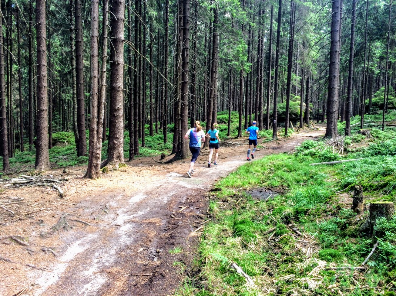 Na trase nedělního výběhu v národním parku Gory Stolowe